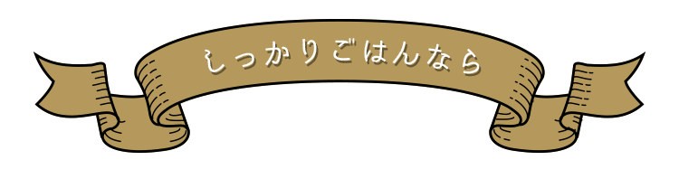 しっかりごはんなら